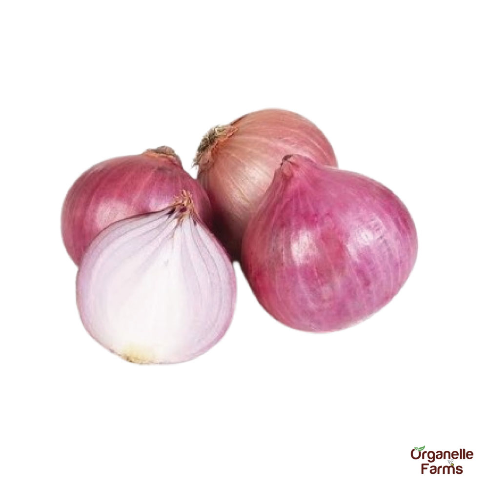 Onion (Desi)-1Kg 