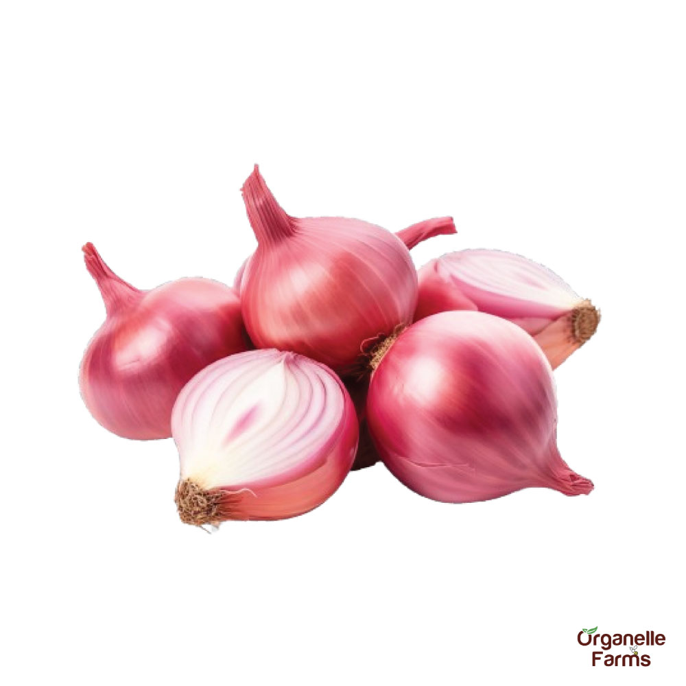 Onion (Small)-1Kg 