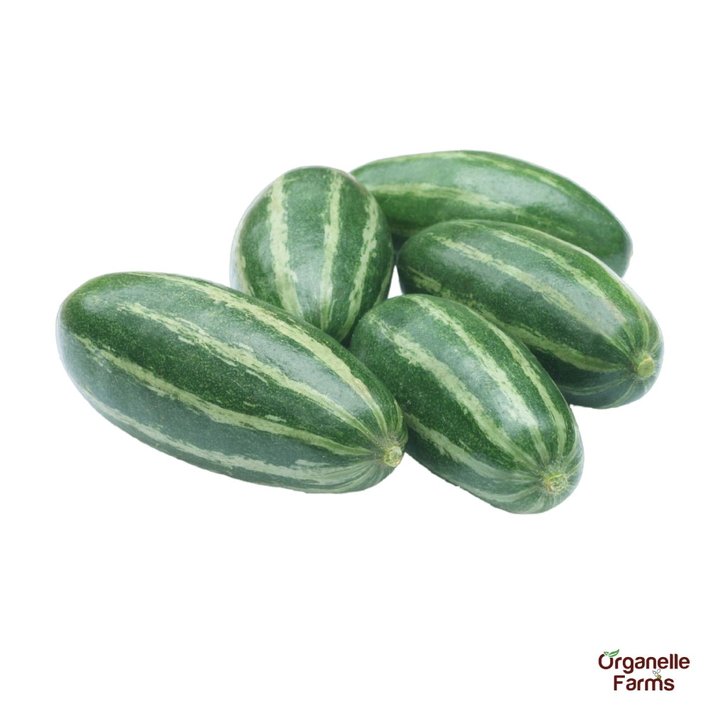 Pointed Gourd(Potala) (Hybrid)-250 Gms 