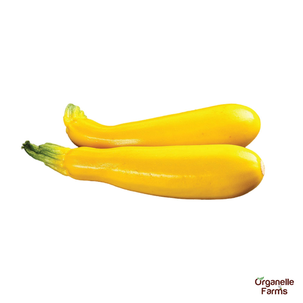 Zucchini Yellow - 2 Pcs (300-400 Gms)