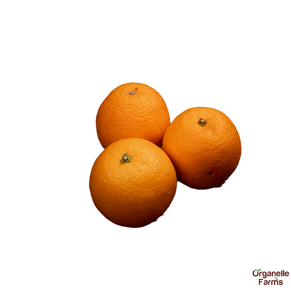 Indian Orange (Nagpur)- 1kg