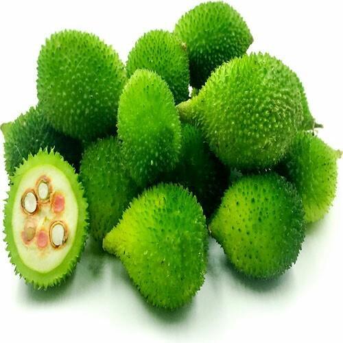 Spine Gourd(Kankada-hybrid)-250gms