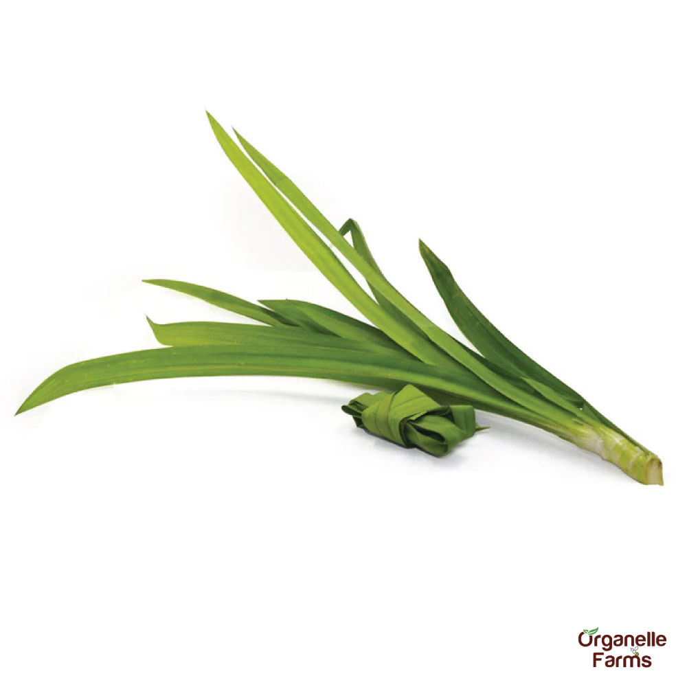 Annapurna (Pandan) Leaves-100 Gms