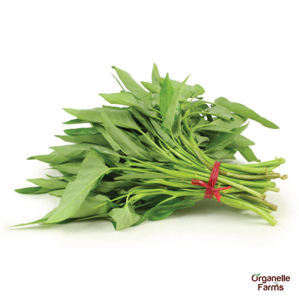 Kalmi Saago - 100 Gms