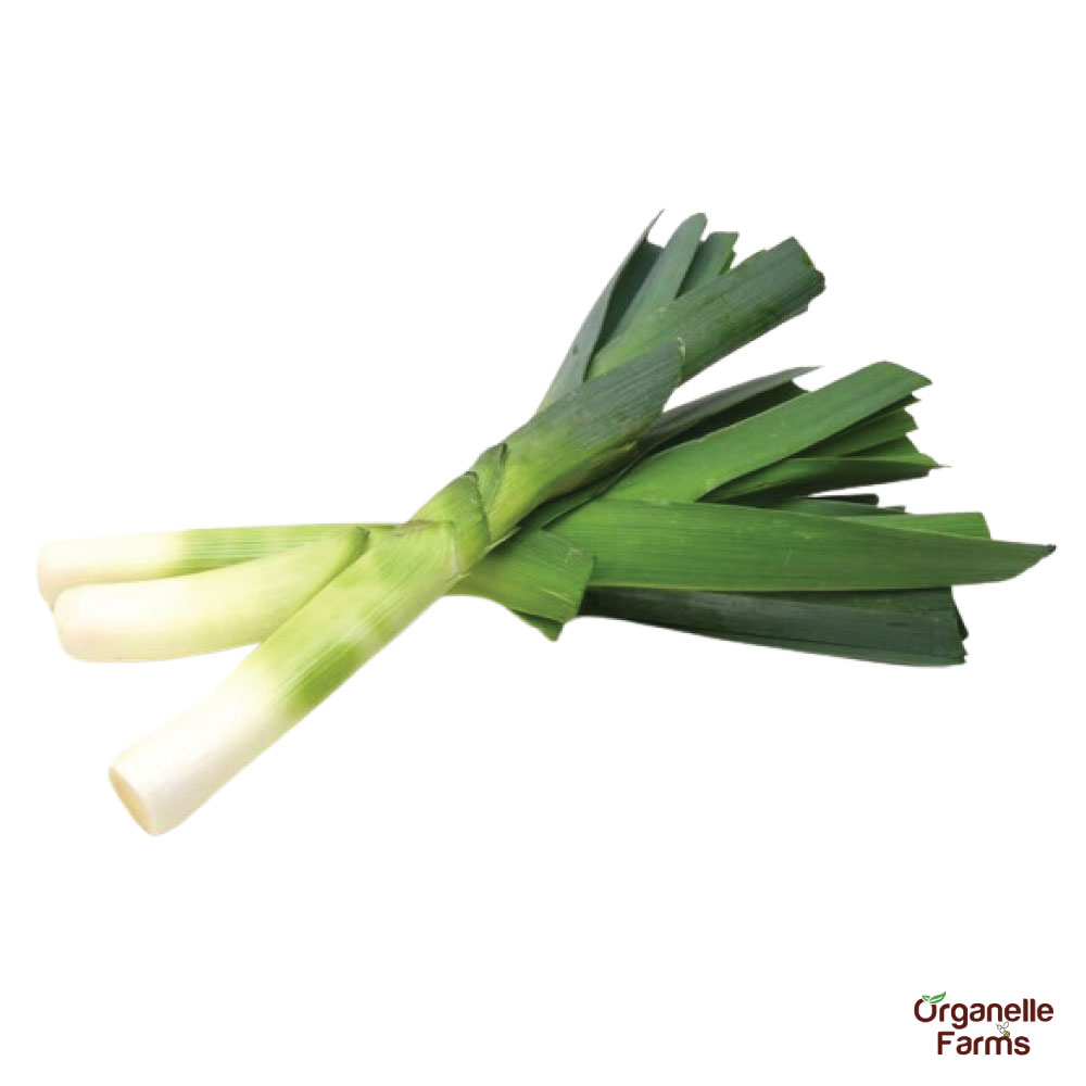 Leek - 250 Gms