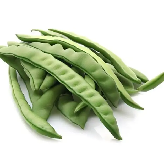 simba(todi)500gms