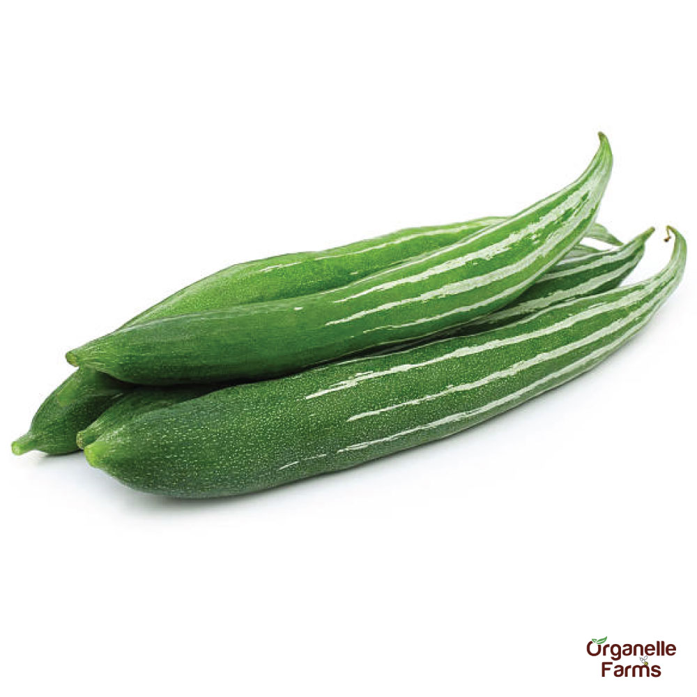 Snake Gourd(Chanchindra) - 500 Gms