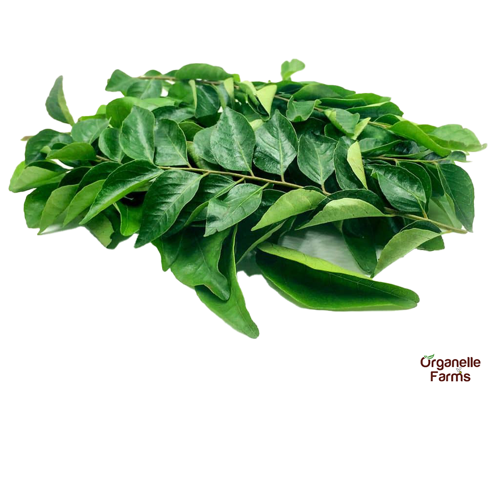 Curry leaves-30 Gms