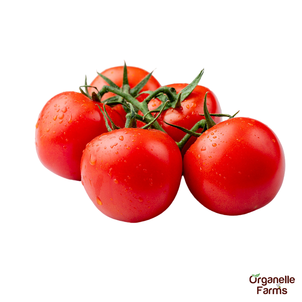 Hybrid Tomato-500gms