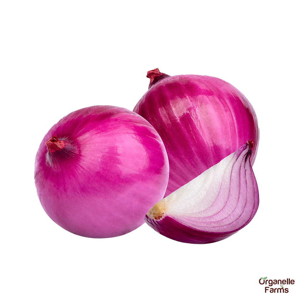 Onion-1Kg