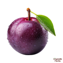 Plum Imported-500 gm