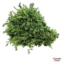 Chana Saago - 100 Gms