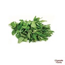 Bathua Saago - 100 Gms