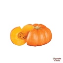 Pumpkin Red - 500 Gms