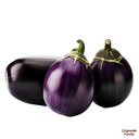 Brinjal Round-500gms