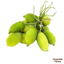 Spine Gourd(Kankada-Desi)-250gms