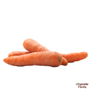 Carrot-500 Gms