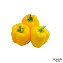 Yellow Capsicum-500 Gms