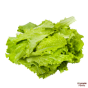 Lettuce-125 Gms