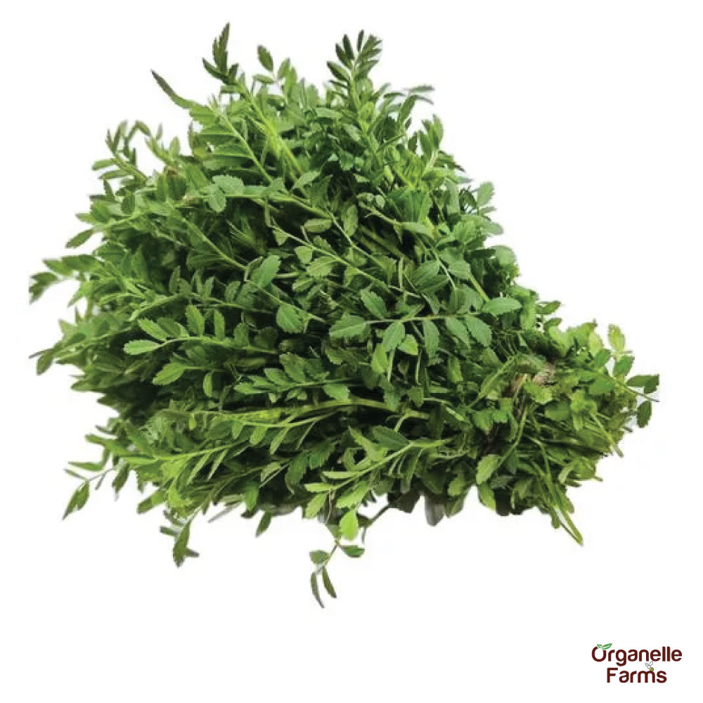 Chana Saago-100 Gms | Organelle Farms