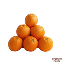 Orange(Kinnow)-1kg
