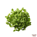 Methi Saga(Fenugreek) - 100 Gms